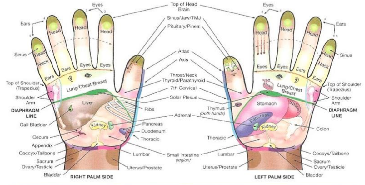 Hand massage zones